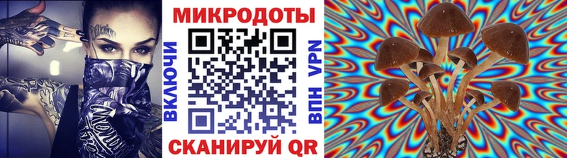 Галлюциногенные грибы Magic Shrooms  Купить  Арск 